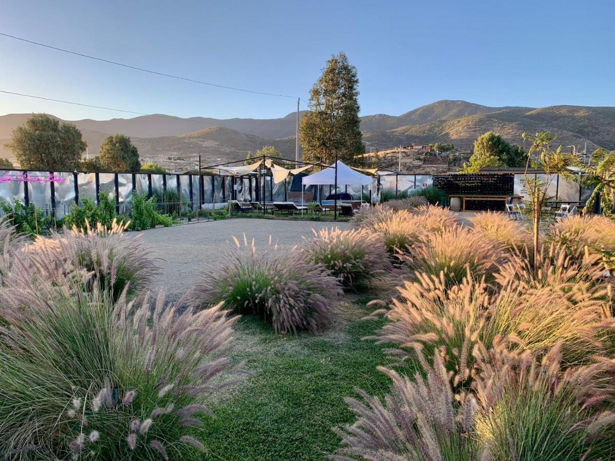 La Finca De Vane Valle de Guadalupe Buitenkant foto